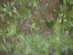 デカ尻, 車, フェティッシュ, ラティーナ, 自然山雀, アウトドア, 公共, オマンコ