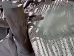 素人, デカチン, 黒人, 中出し, 黒人, ラティーナ, 馬乗り, ティーン