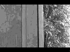 お尻, 美女, ブロンド, フェラチオ, 巨乳な, イく瞬間, イマラチオ, ハードコア