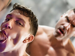 Homo