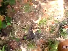 Хд, Домашнее видео