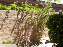 Grosser arsch, Grosser schwanz, Grosse titten, Blondine, Schwanz, Deutsch, Muschi, Titten