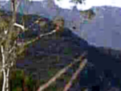 お尻, アスtoマウス, フェラチオ, 茶髪の, イく瞬間, チン, 開帳, 自然山雀