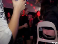 Bruinharig, Aangekleed, Dansen, Hondjeshouding, Vrouw, Likken, Orgie, Panty