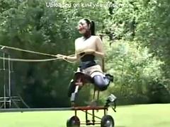 Pony Girls In Training: Hardcore, Fetish  Bondage Porn