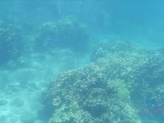 素人, ビーチ, フェラチオ, 露出狂, 彼女, オーガズム, ハメ撮り, のぞき