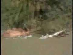 Plage, Public