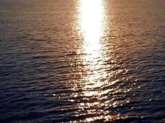 Жопа, Большие сиськи, Классика, Смазливые, Член, Натуральные, Софткор, Тату