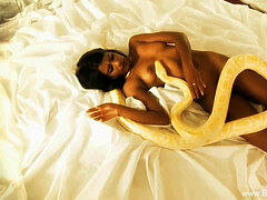 Indisch, Moeder die ik wil neuken