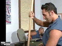 Anaal, Pijpbeurt, Homo, Hardcore, Kantoor, Zuigen