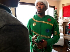 美女, ベッドルーム, 黒人, 茶髪の, キス, ラティーナ, なめる, オッパイの