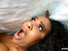 Kont, Lieveling, Pijpbeurt, Zwart, Hardcore, Kut duiken, Zusters, Tieten likken