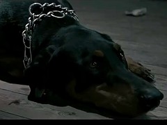 Morena, Celebridad, Al aire libre, Tetas