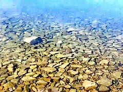 Любители, Пляж, Блондинки, Минет, На природе, От первого лица, На публике, Тугие