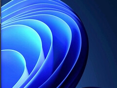 Phoenix Y Su Novio - Homemade couple sex with busty Latina getting cum on tits