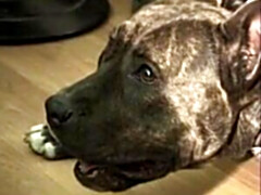 Brunette brune, Double pénétration, Français, Rétro ancien